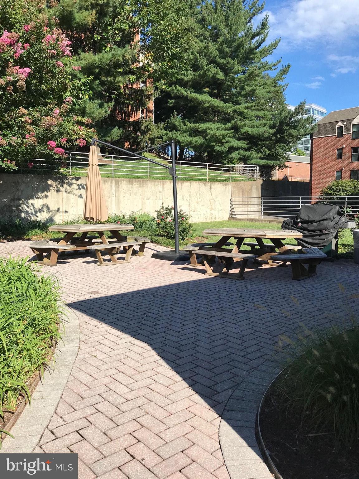 ASTORIA CONDOMINIUM - Residential Lease