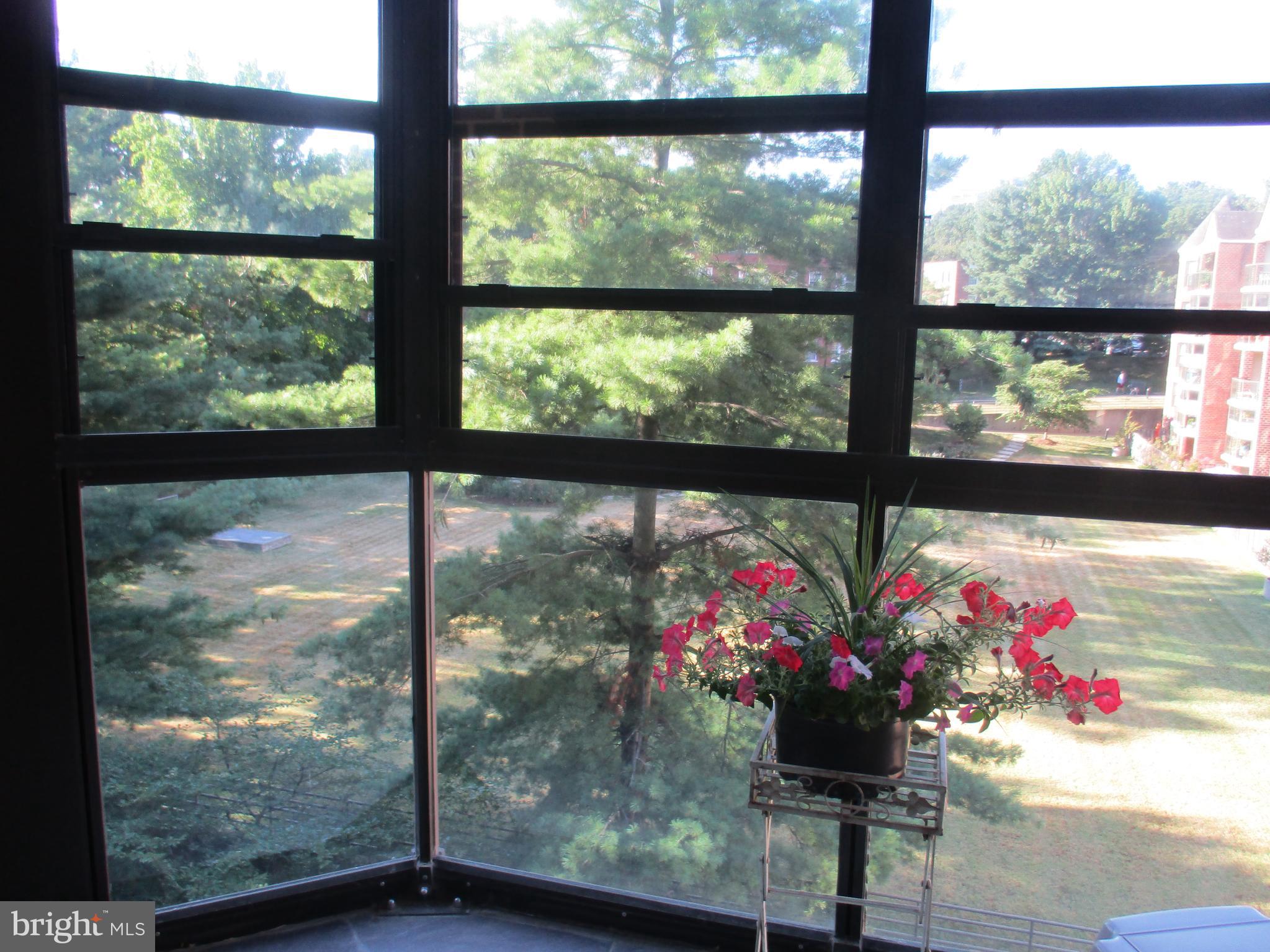 ASTORIA CONDOMINIUM - Residential Lease