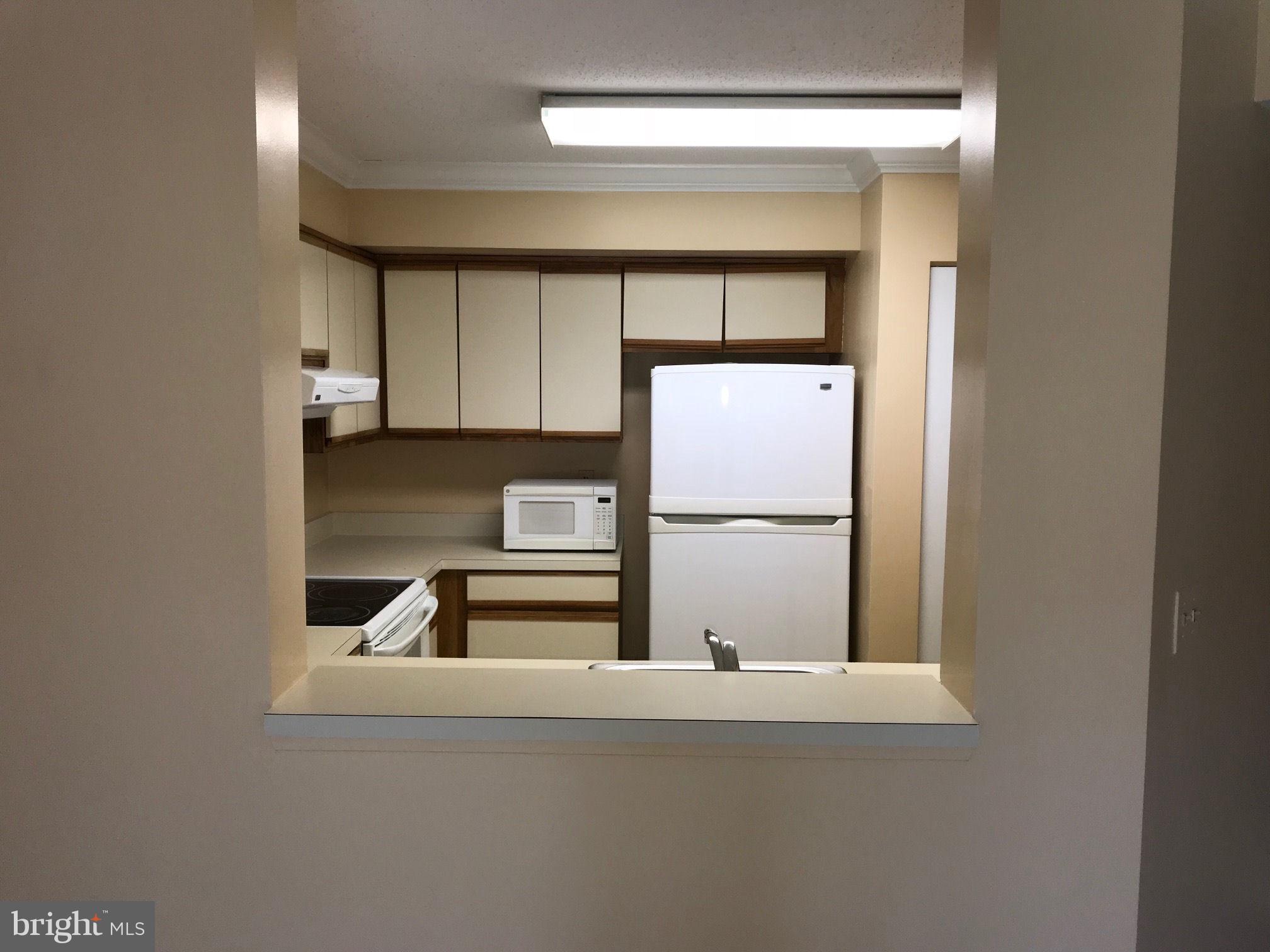 ASTORIA CONDOMINIUM - Residential Lease