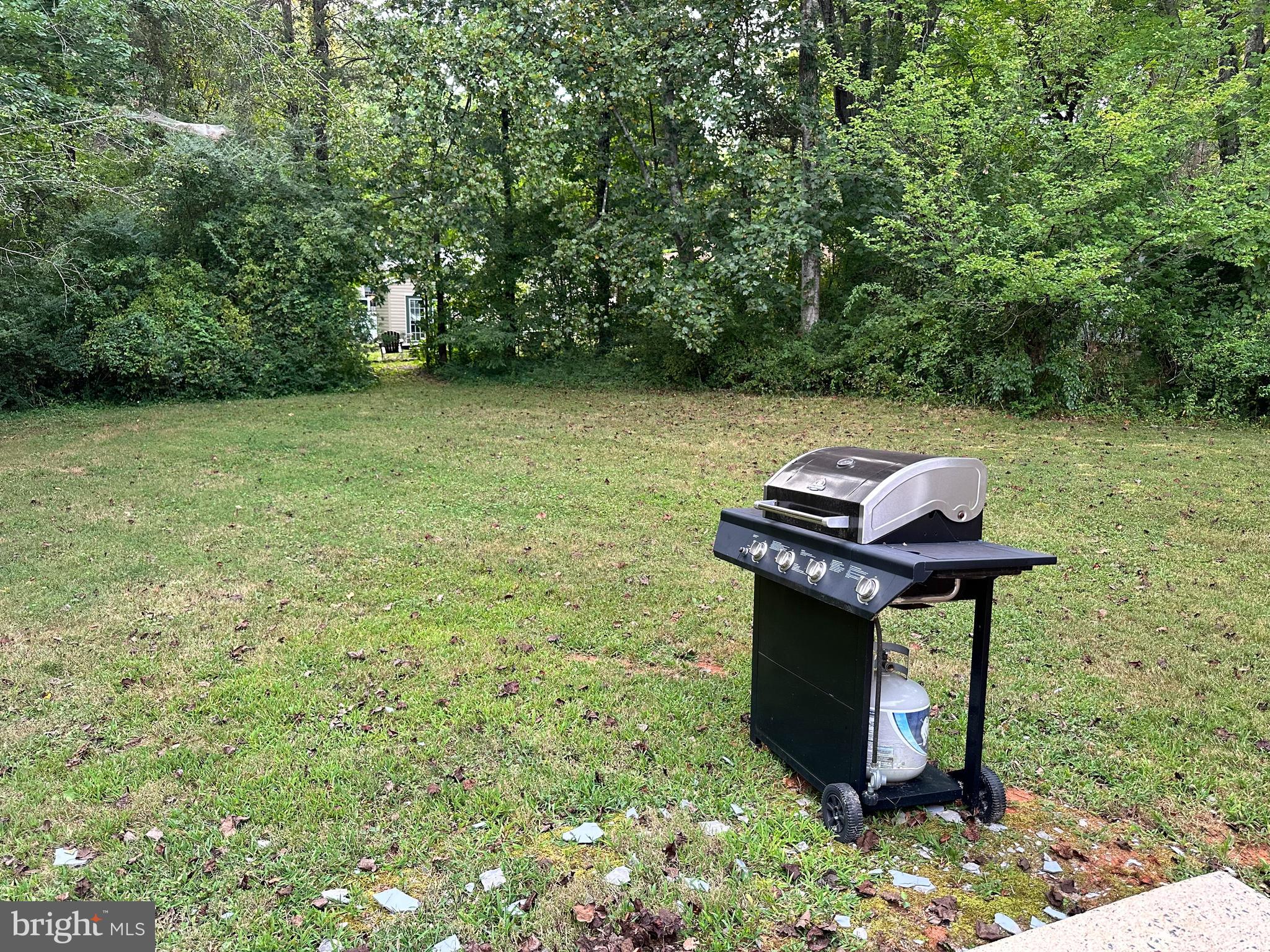 LAKE OF THE WOODS - Residential