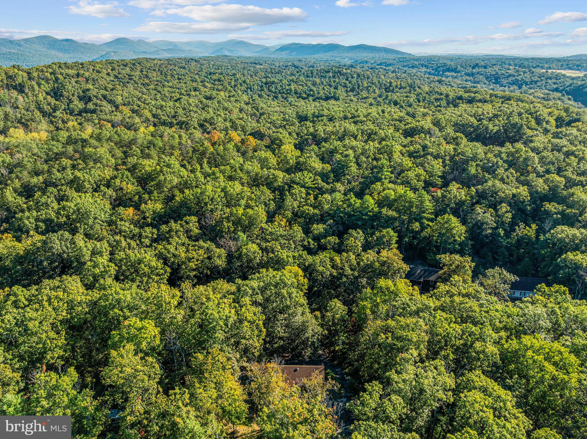 BRYCE  MOUNTAIN  RESORT - Residential