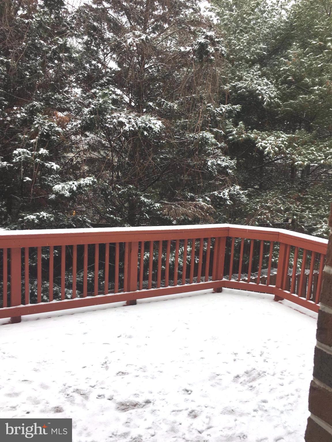 SPRING LANE TOWNHOUSES - Residential Lease