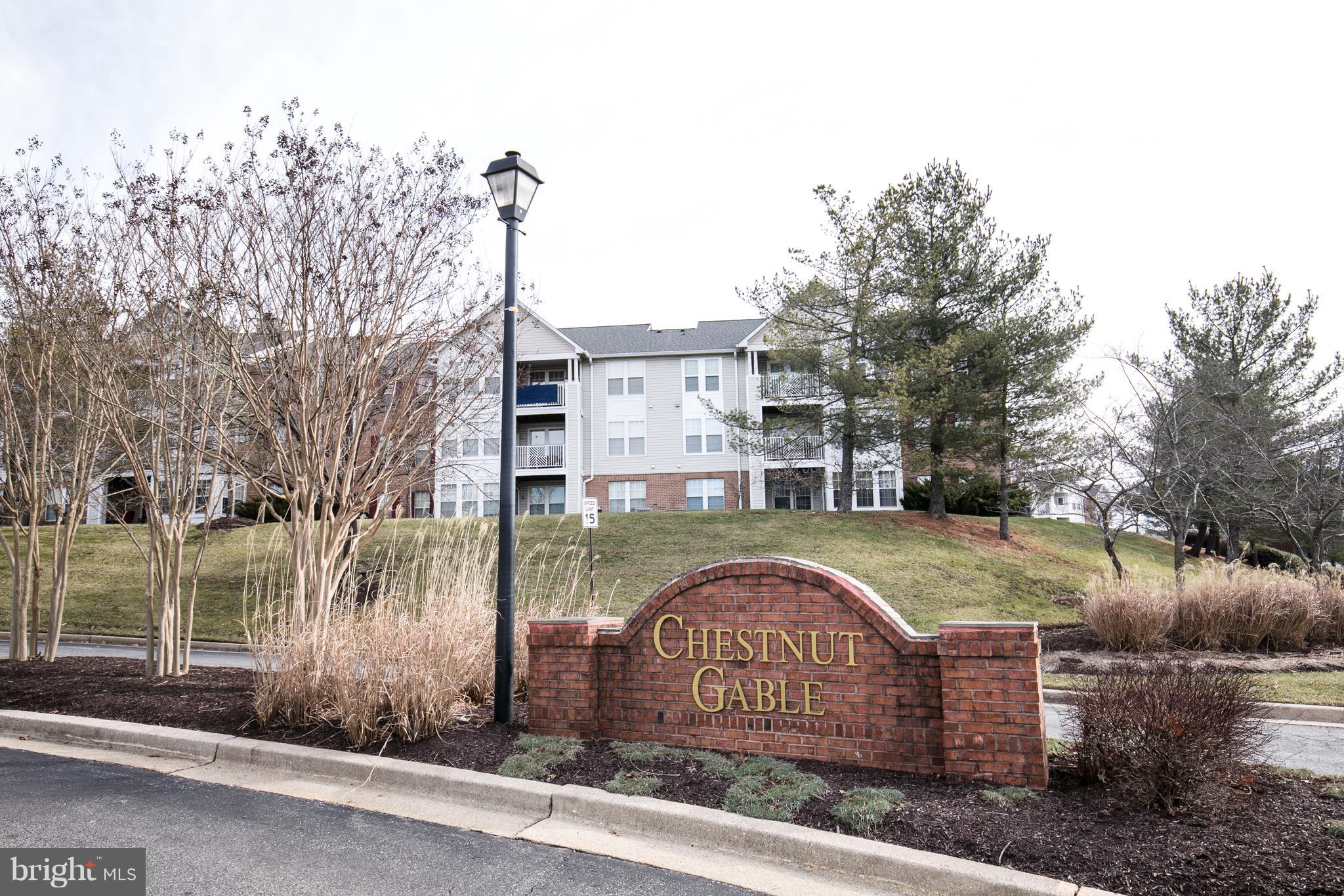 CHESTNUT GABLE - Residential