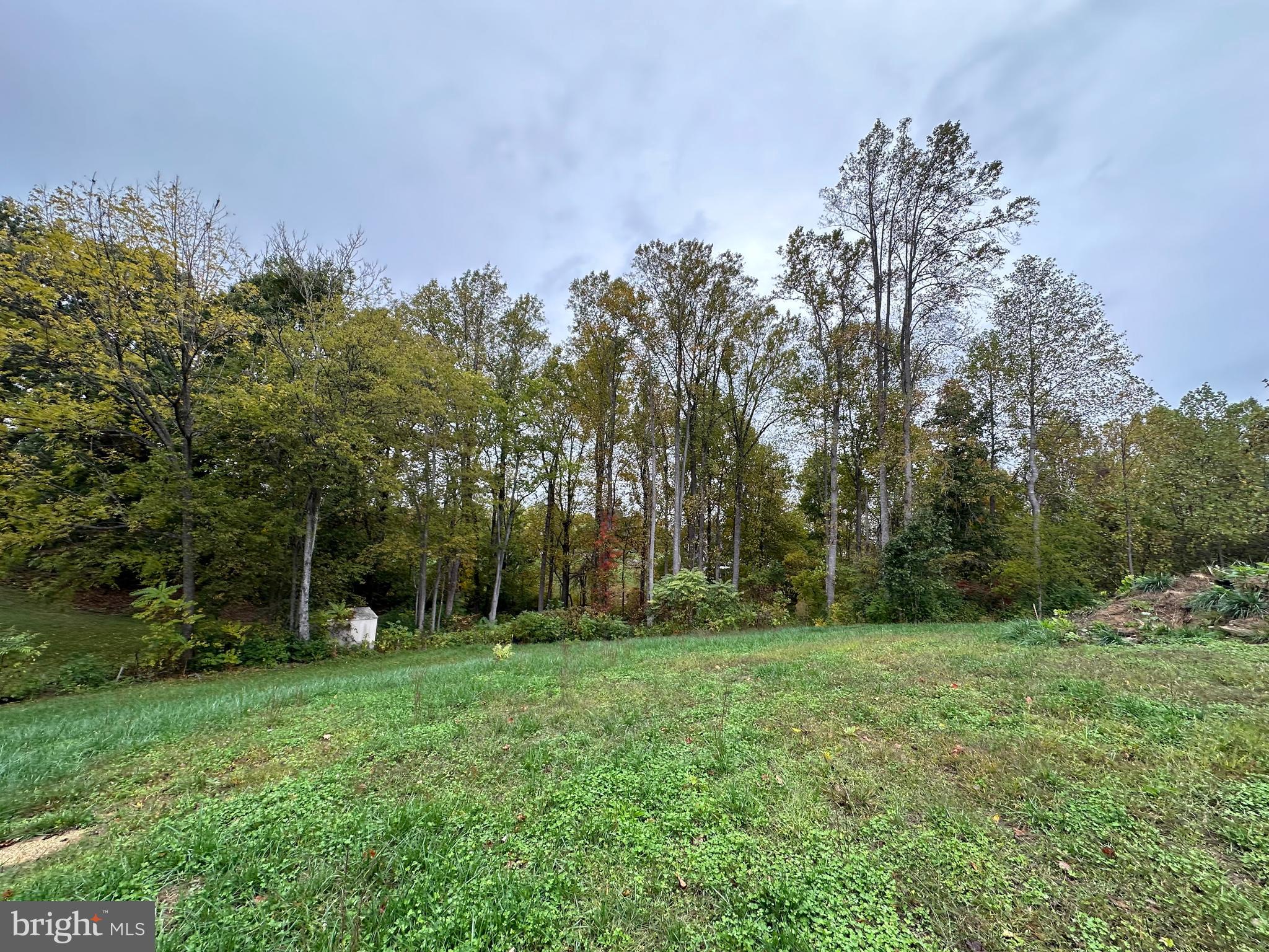 COUNTRYSIDE ON LAKE ANNA - Land