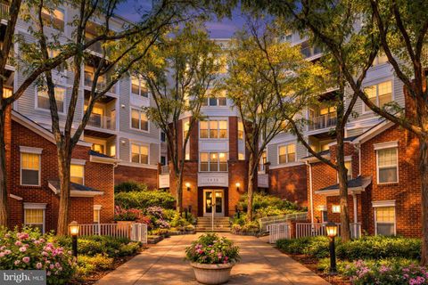 1625 INTERNATIONAL DRIVE 321 MCLEAN VA 22102