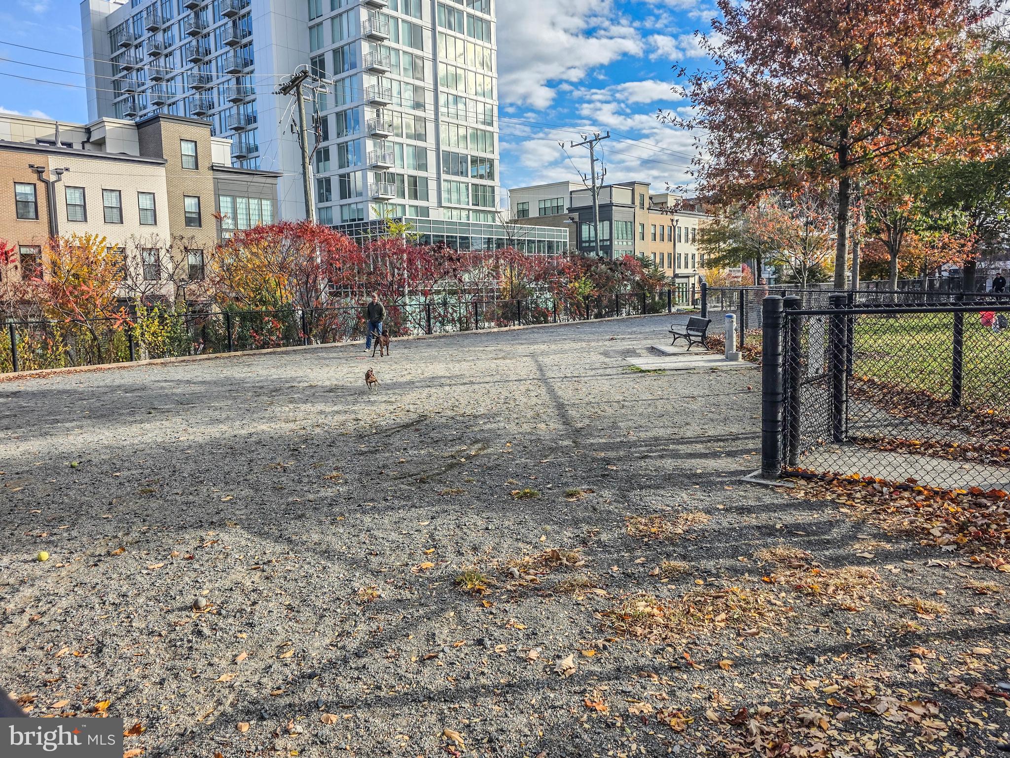 ABINGDON ROW - Residential Lease