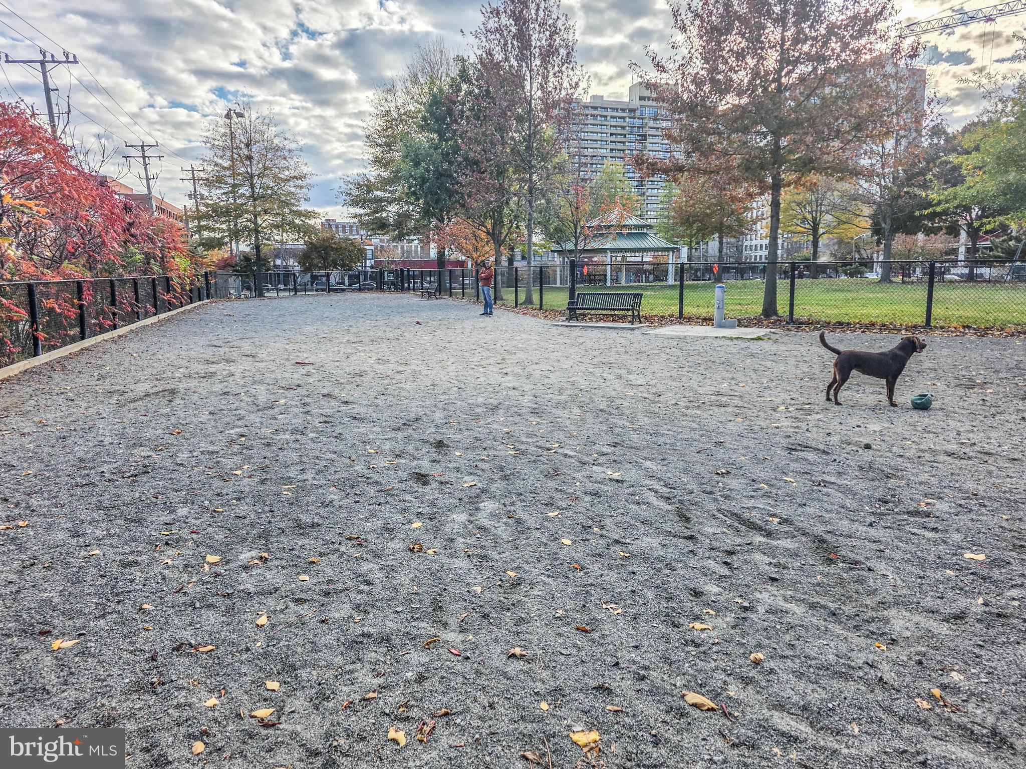 ABINGDON ROW - Residential Lease