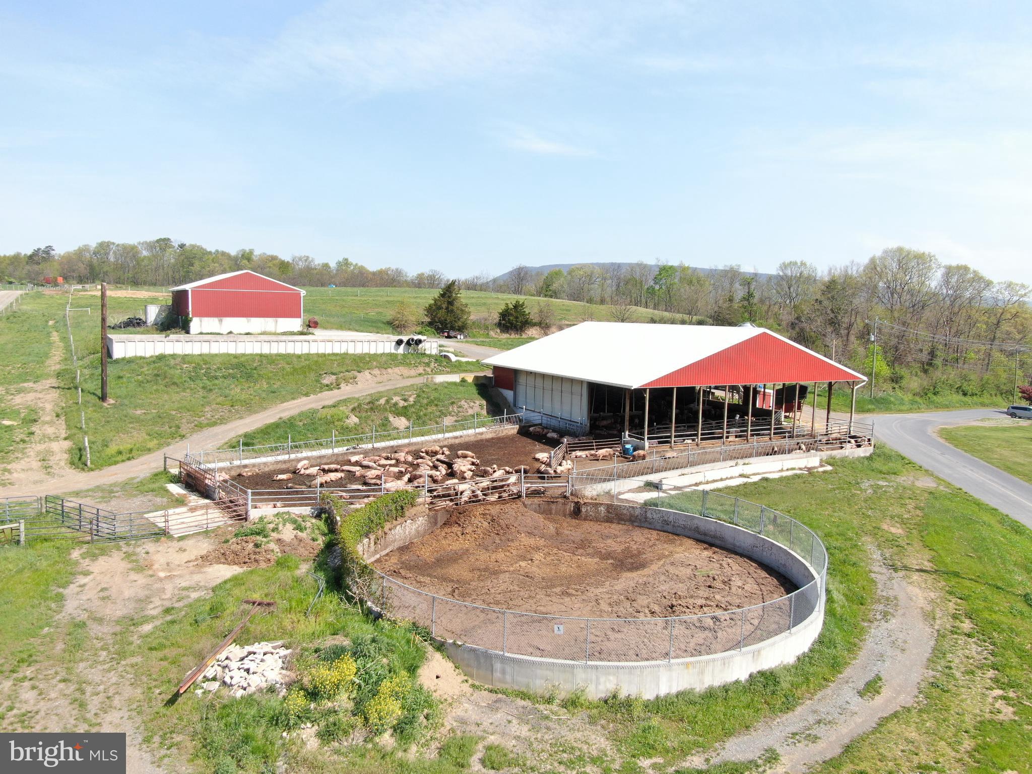 NONE AVAILABLE - Farm