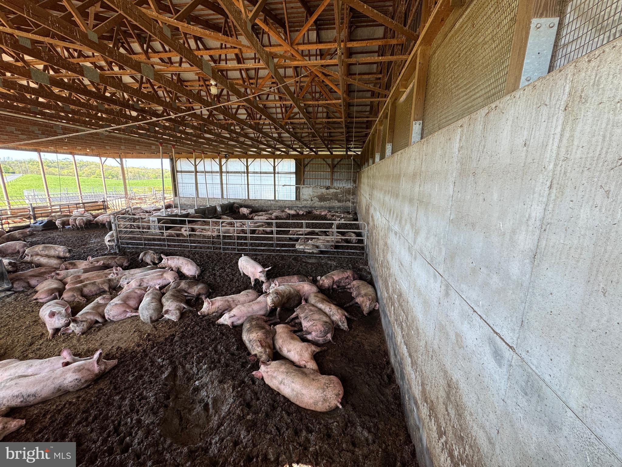 NONE AVAILABLE - Farm