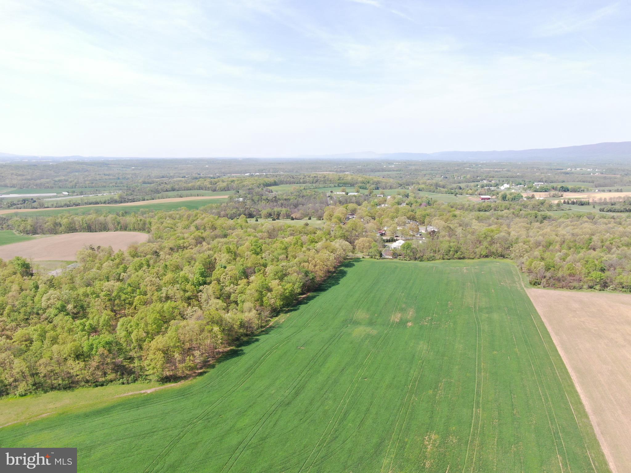 NONE AVAILABLE - Farm