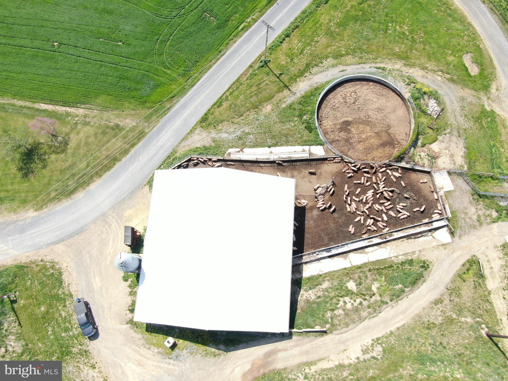 NONE AVAILABLE - Farm