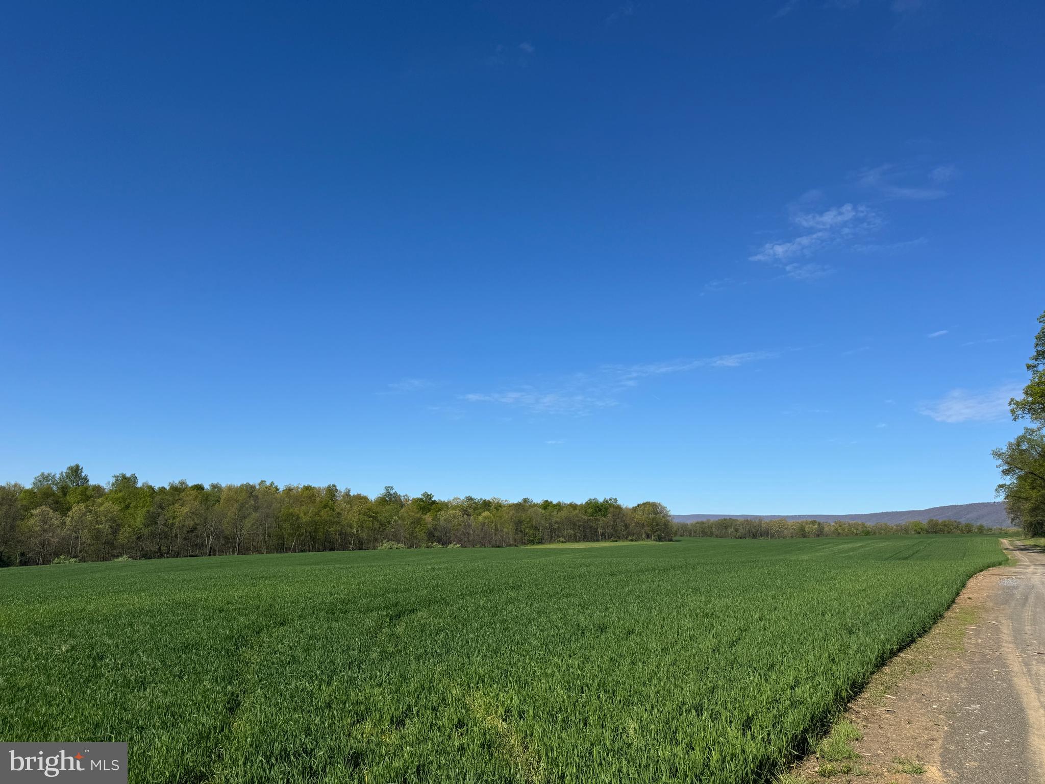 NONE AVAILABLE - Farm