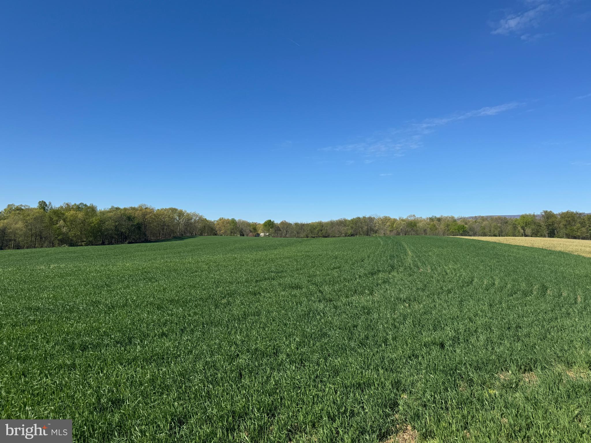 NONE AVAILABLE - Farm