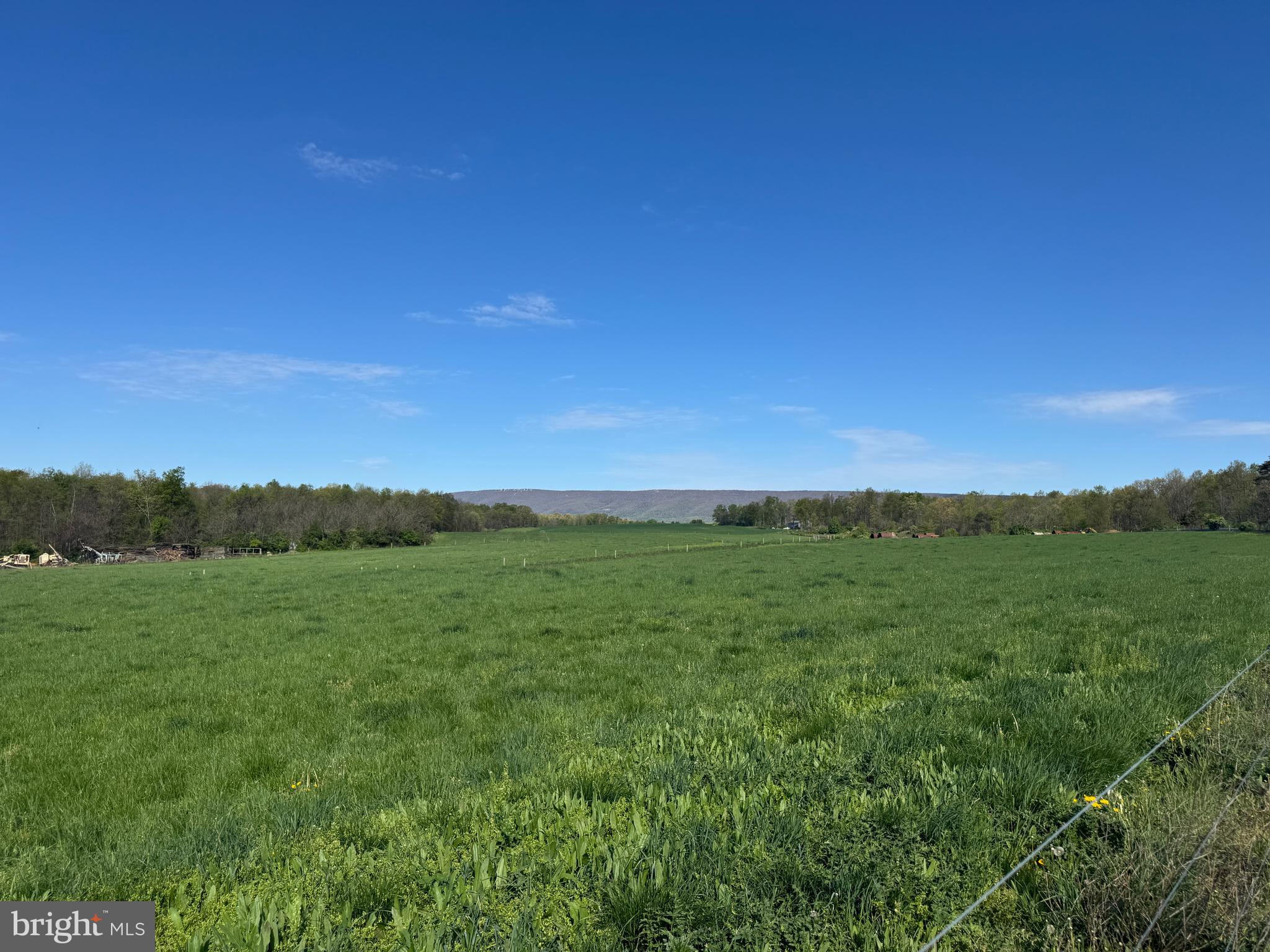 NONE AVAILABLE - Farm