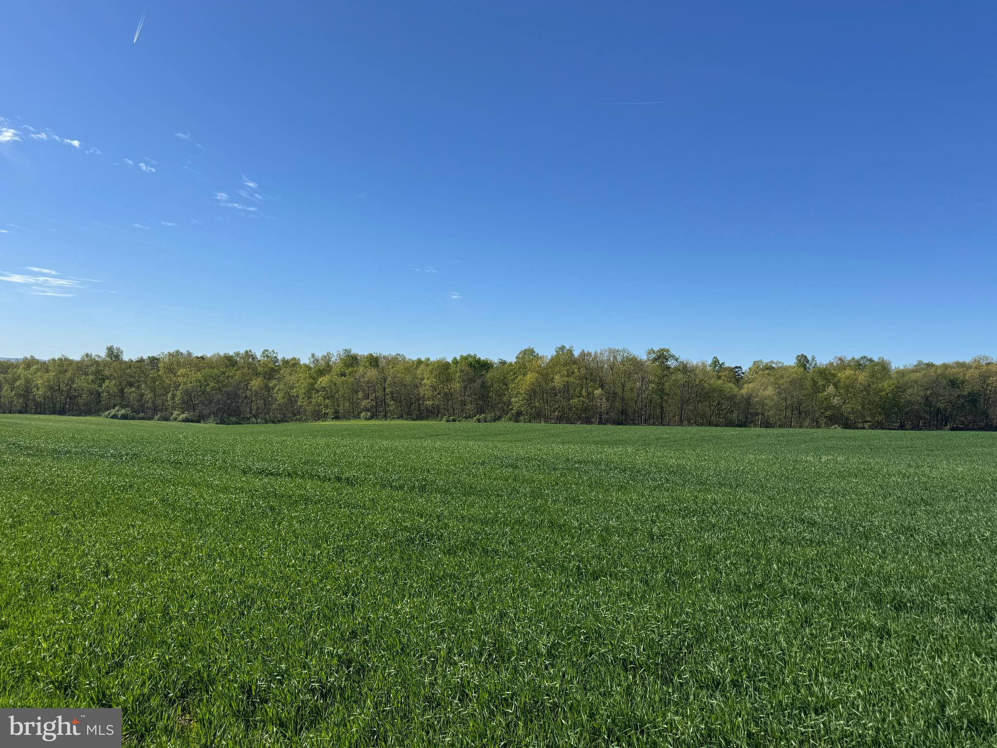 NONE AVAILABLE - Farm