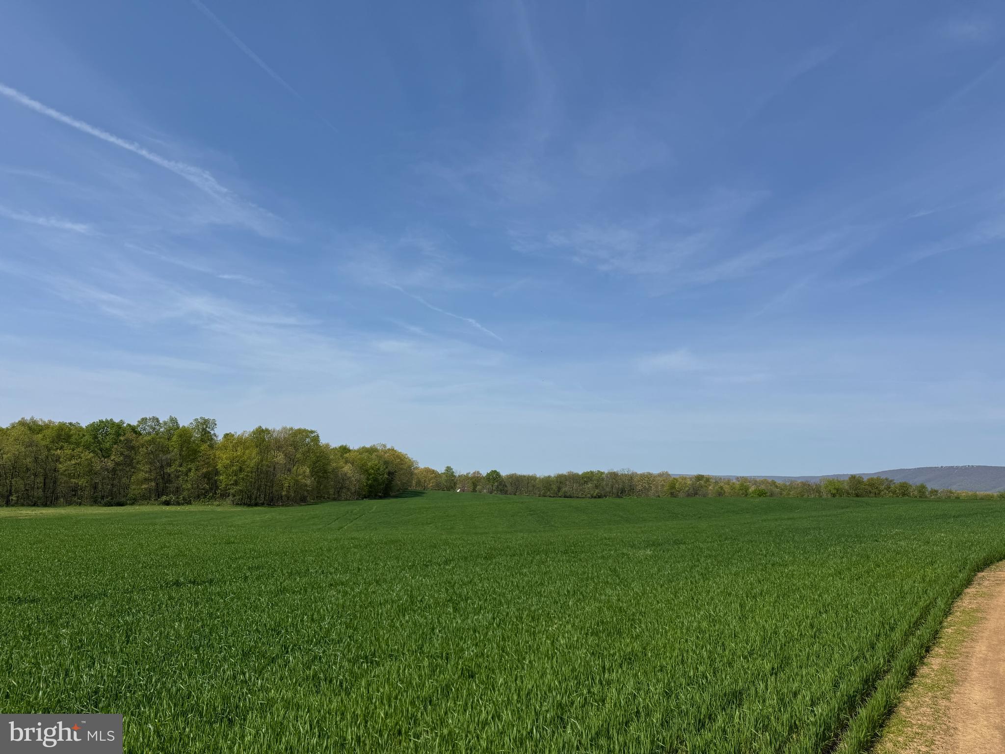 NONE AVAILABLE - Farm