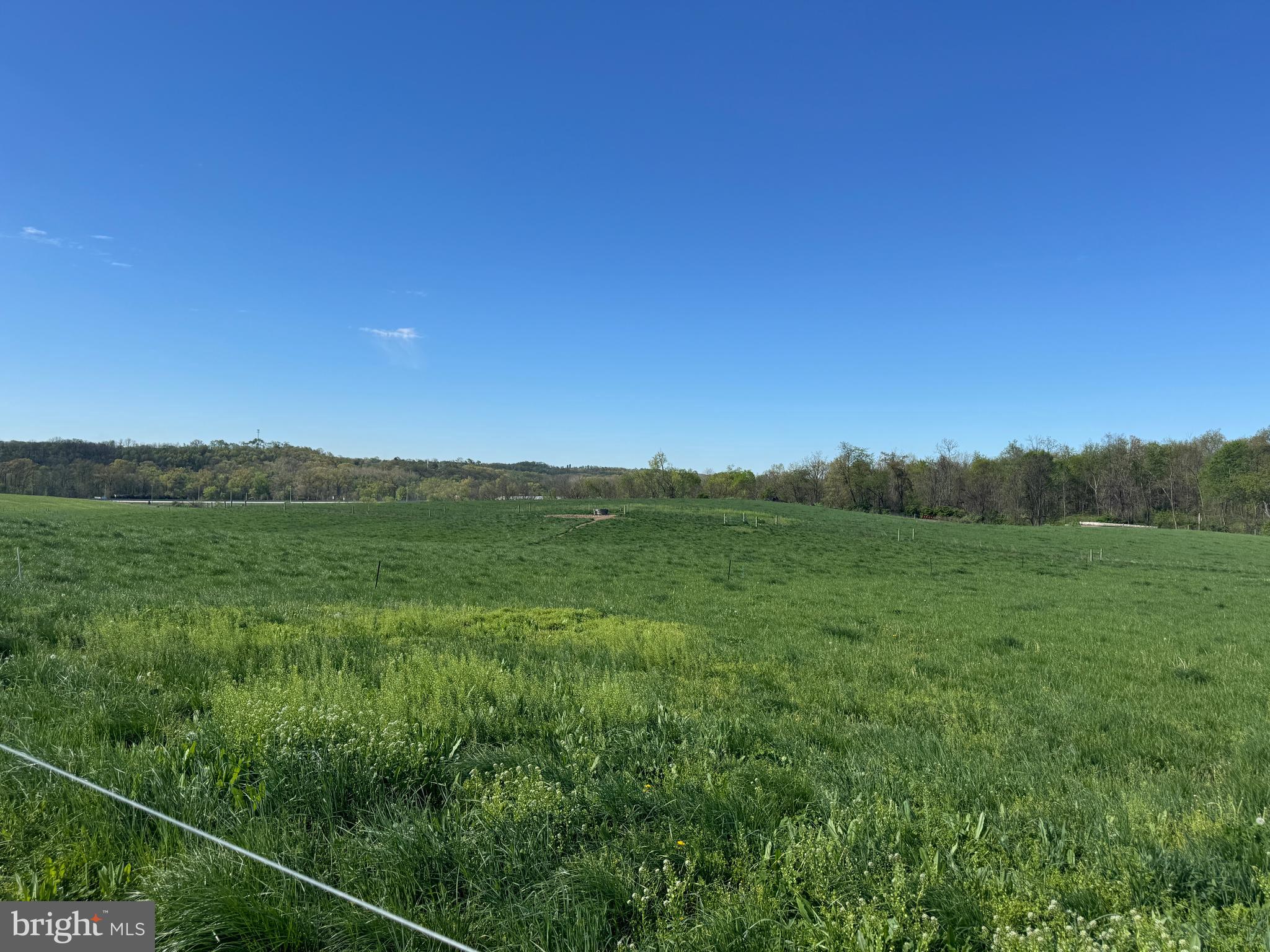 NONE AVAILABLE - Farm