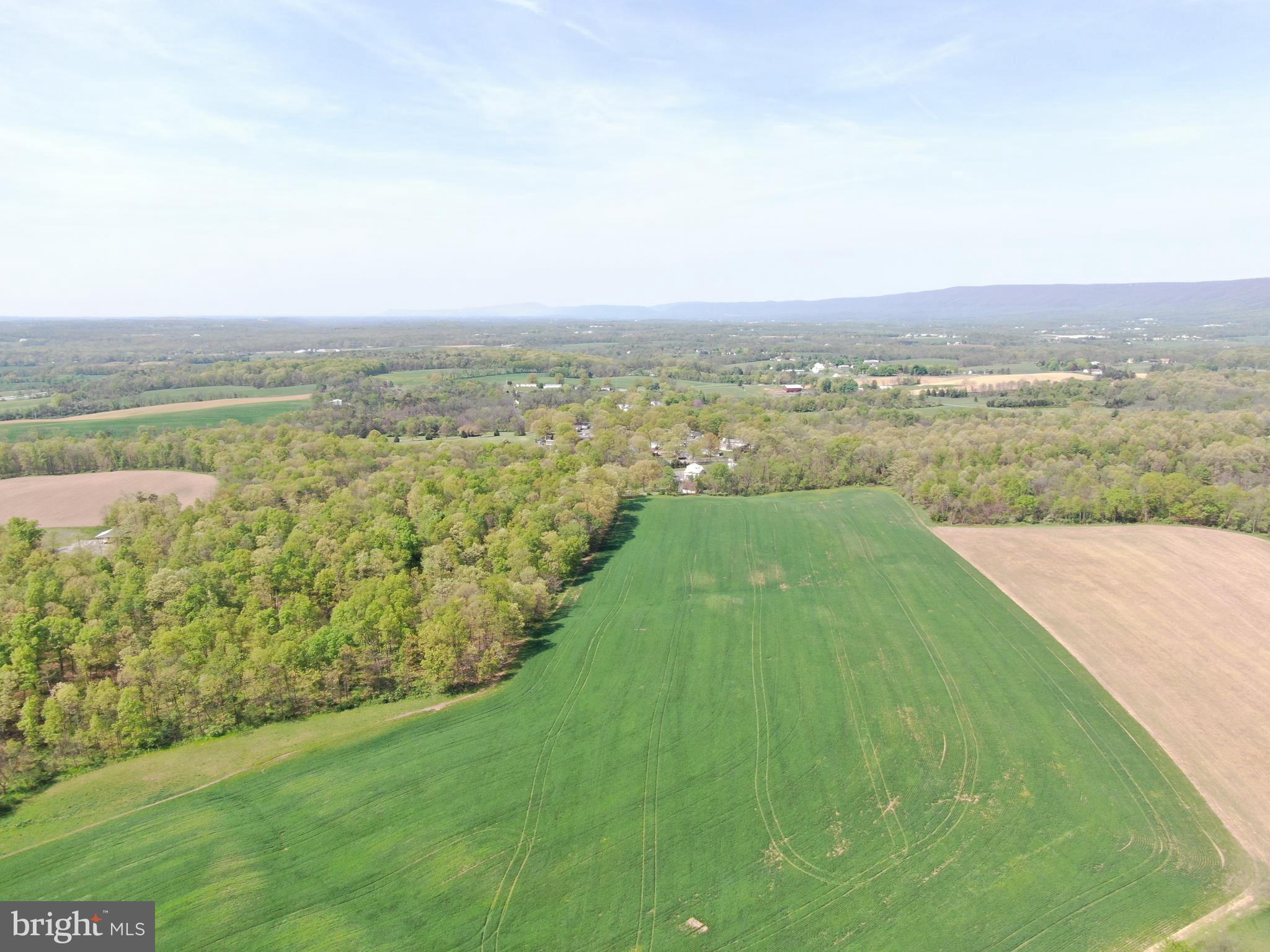 NONE AVAILABLE - Farm