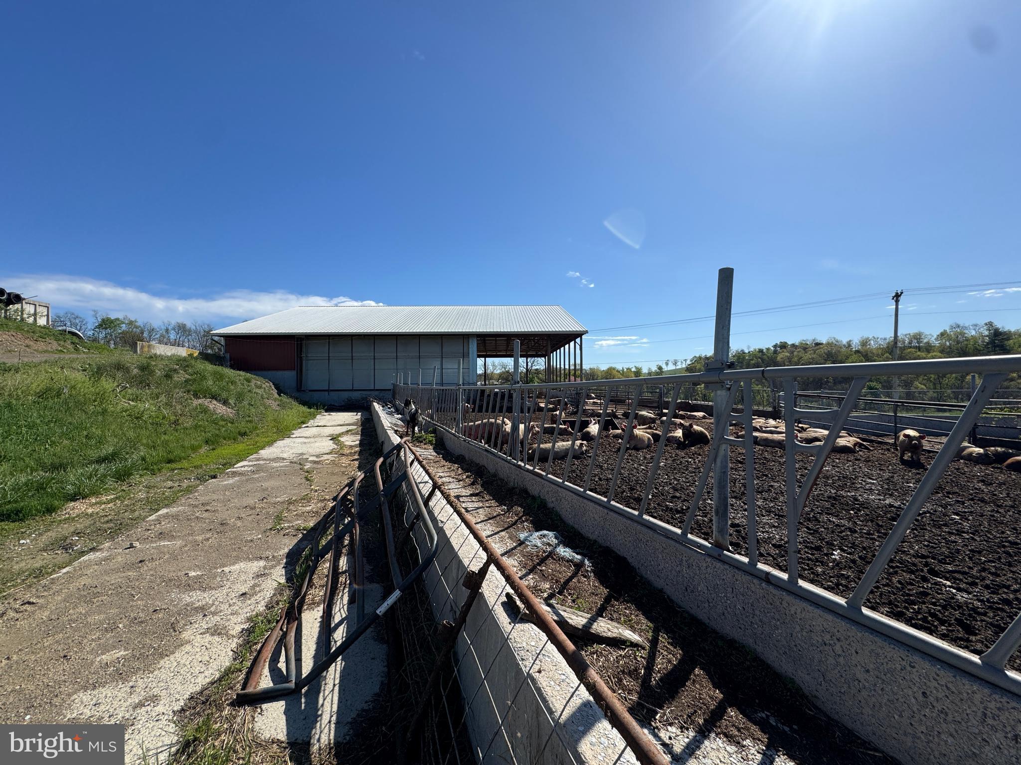 NONE AVAILABLE - Farm