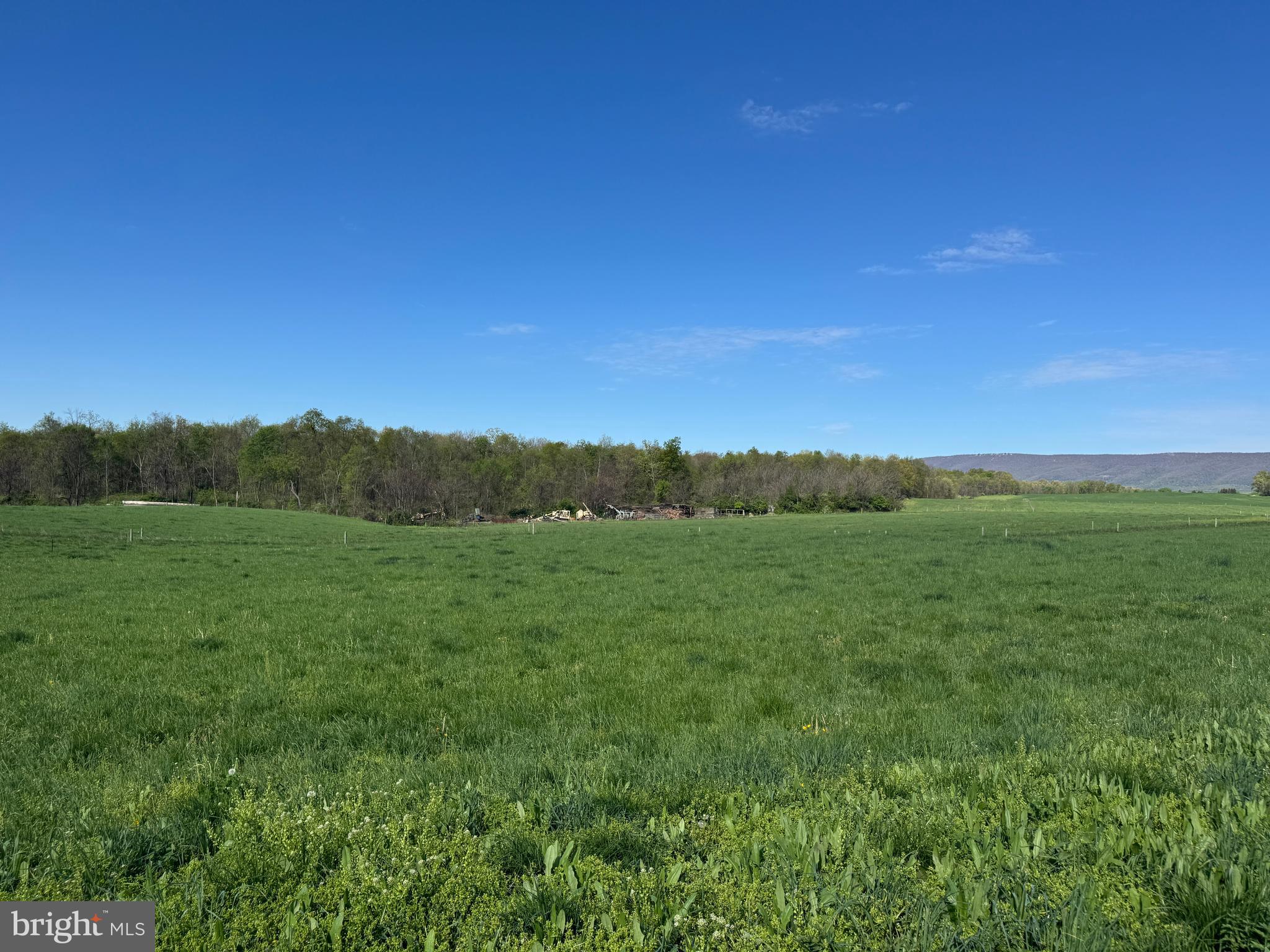 NONE AVAILABLE - Farm