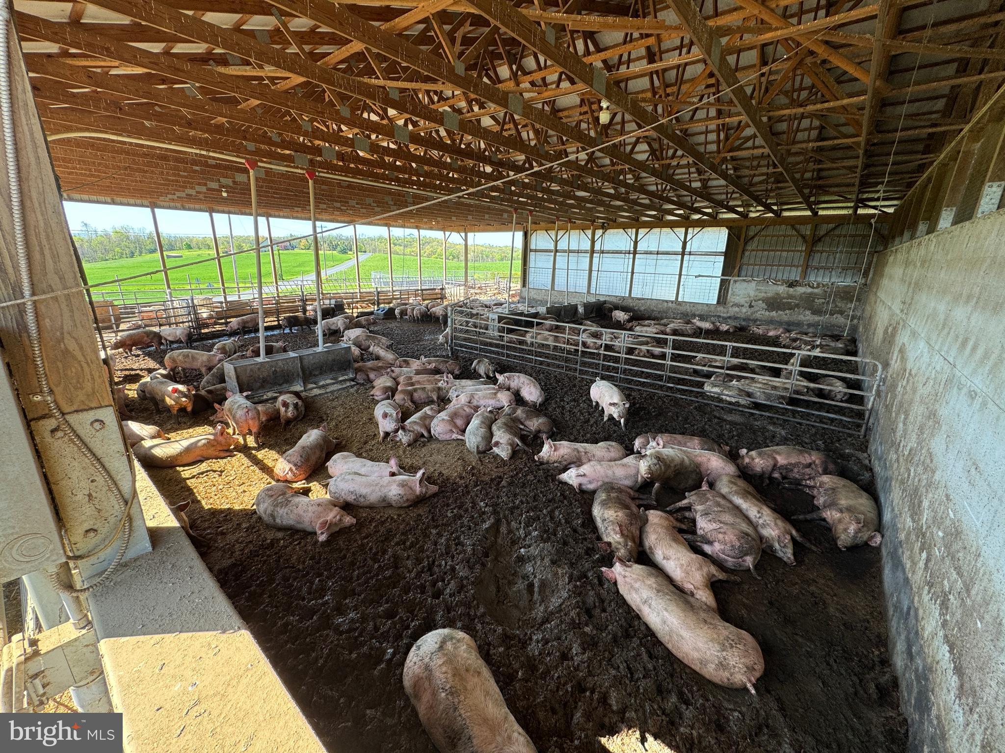 NONE AVAILABLE - Farm