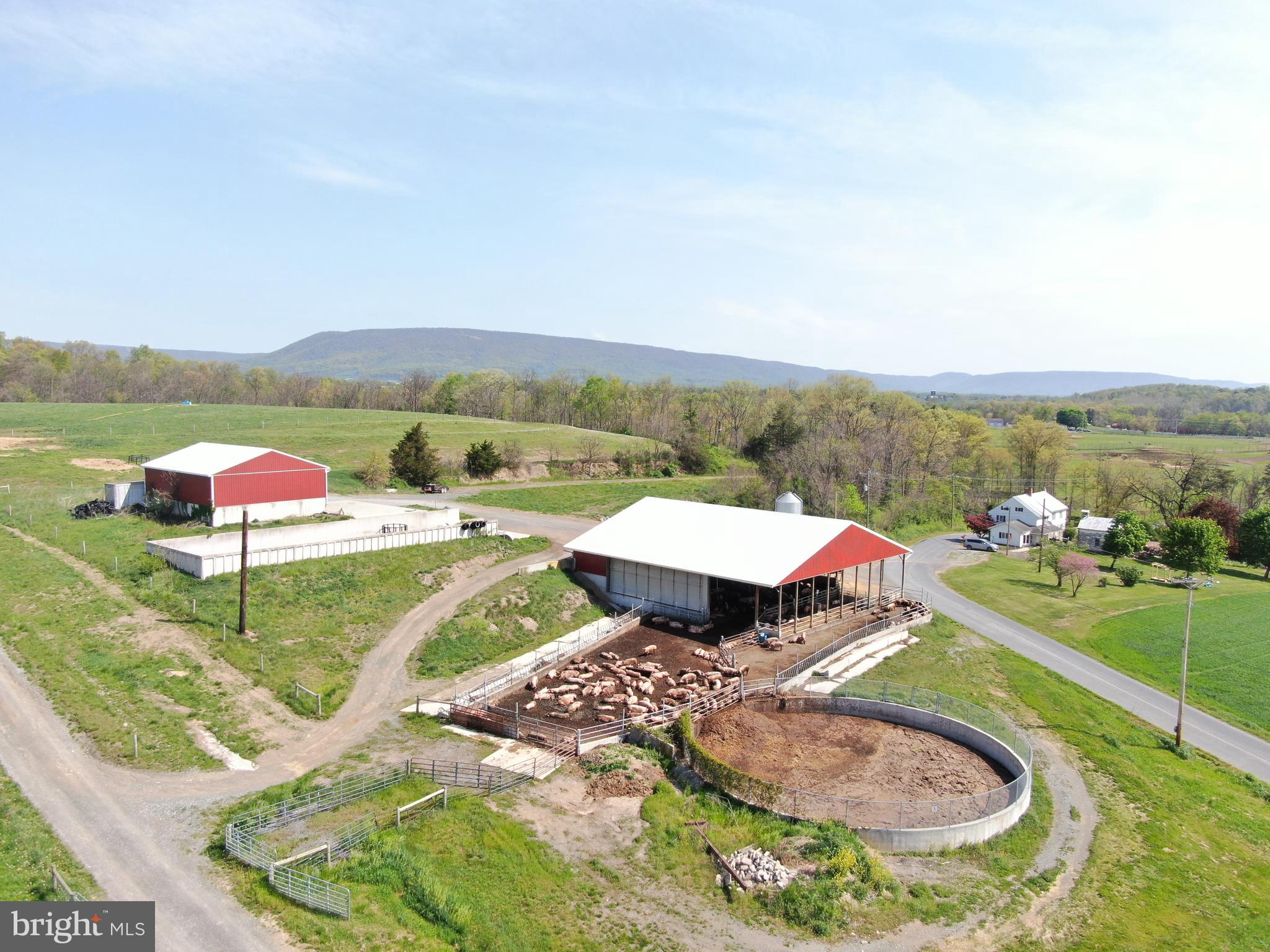 NONE AVAILABLE - Farm