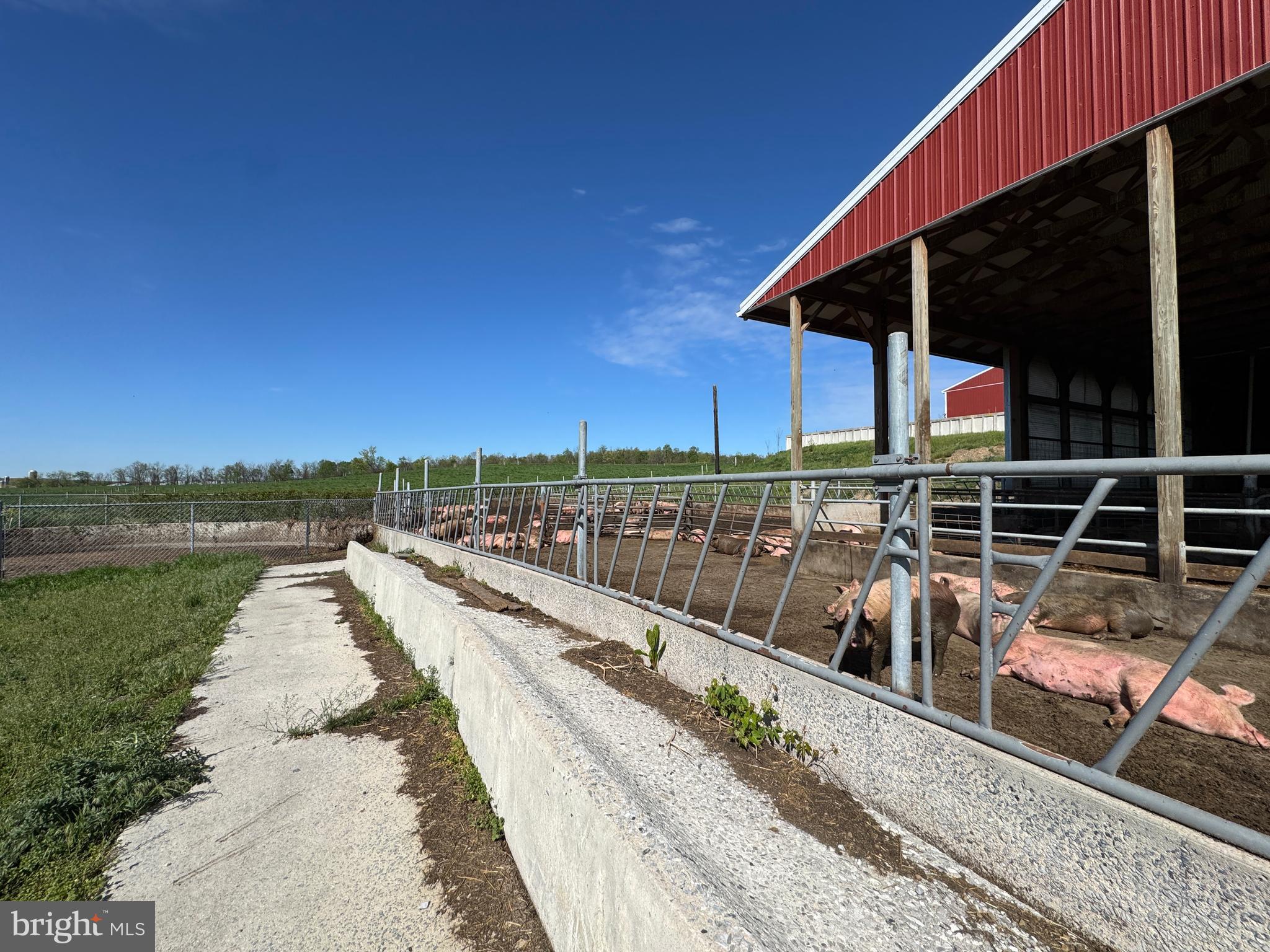 NONE AVAILABLE - Farm