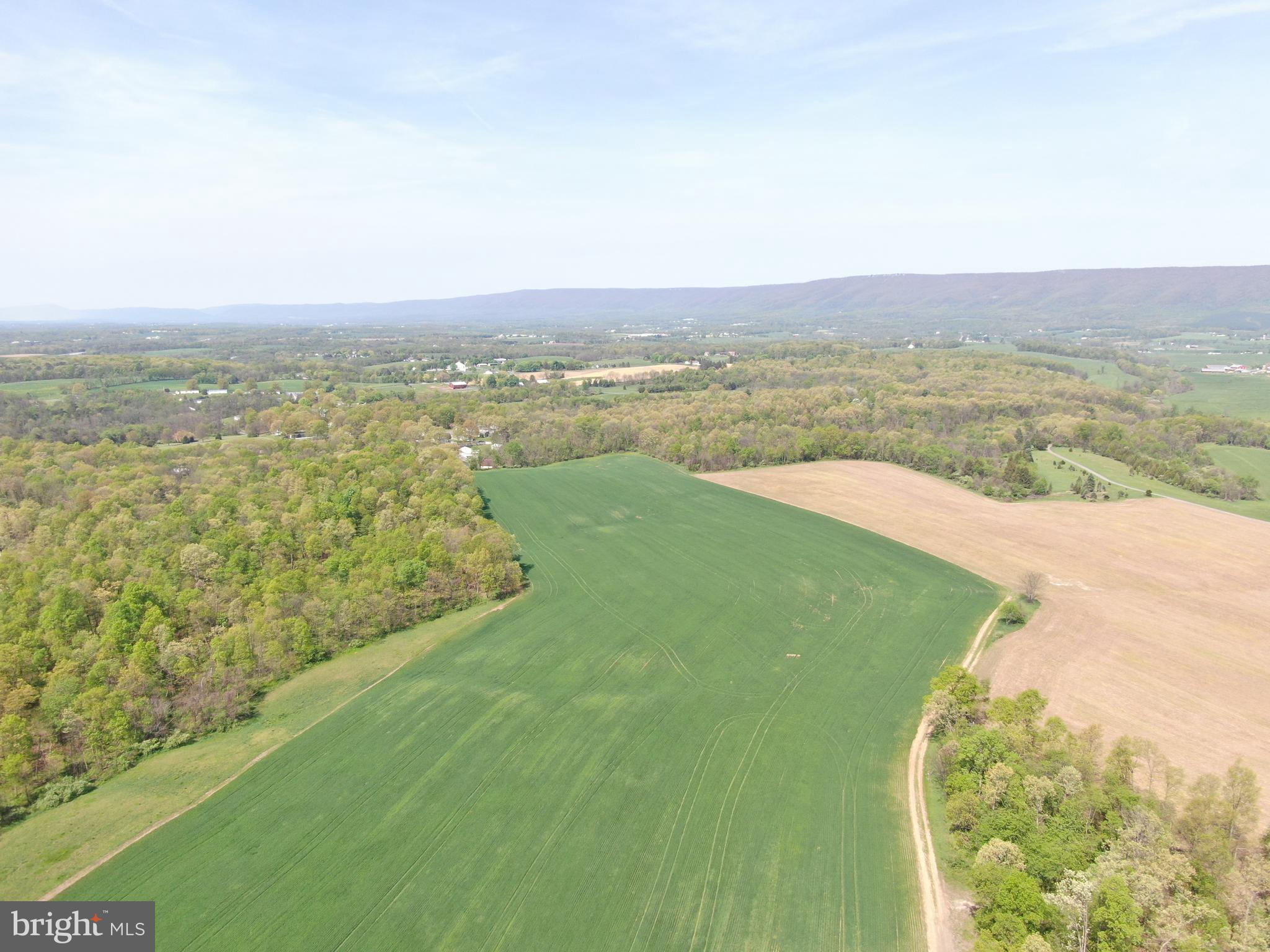 NONE AVAILABLE - Farm