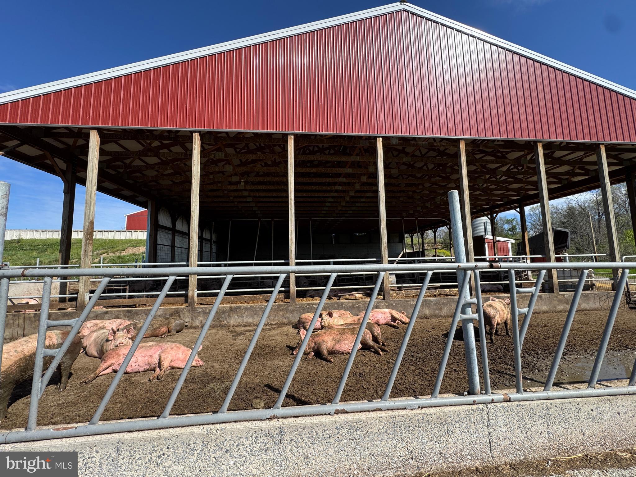 NONE AVAILABLE - Farm