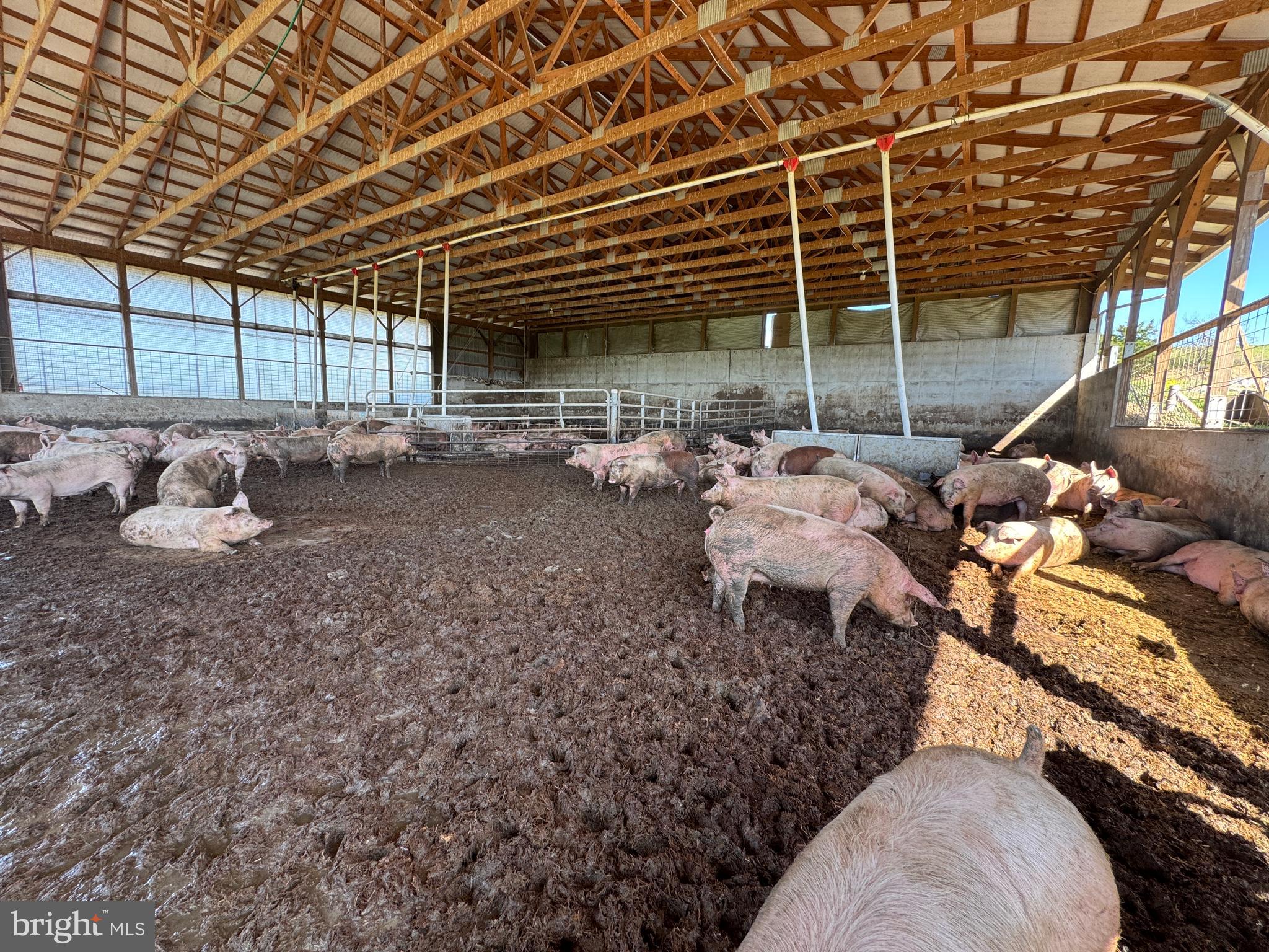 NONE AVAILABLE - Farm