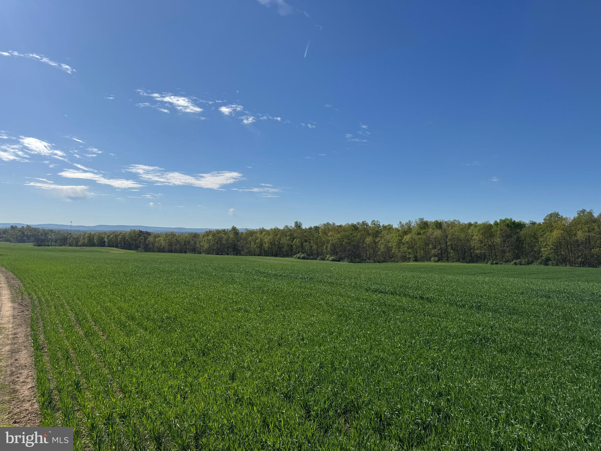 NONE AVAILABLE - Farm