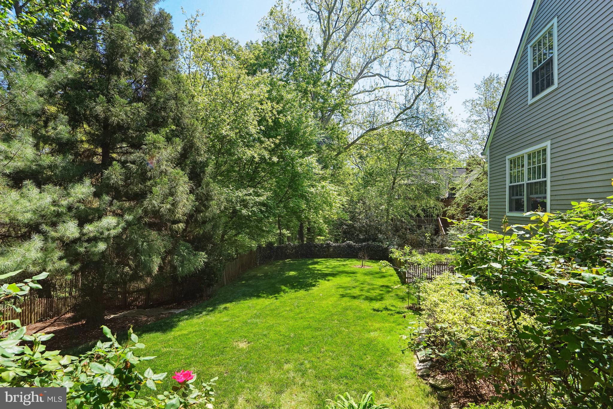 BELLEVUE FOREST - Residential Lease