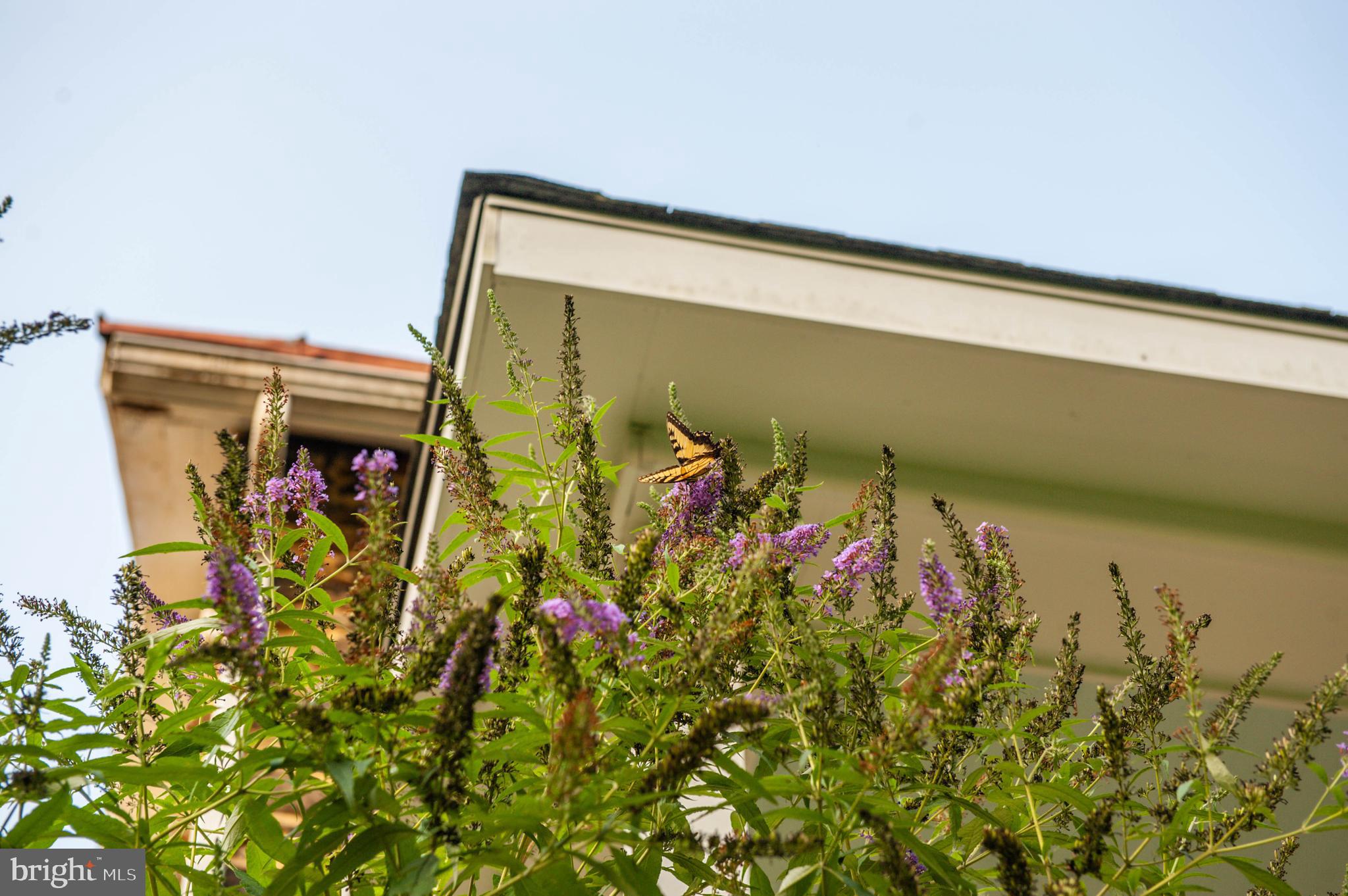 CAMBRIA - Residential