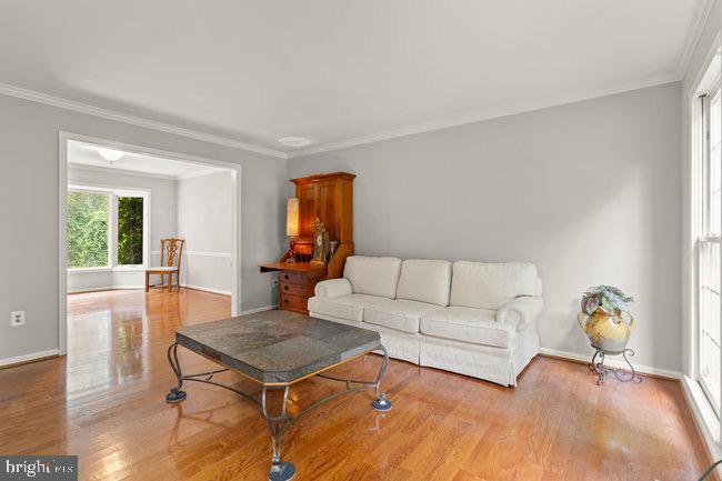 WOLFTRAP MEADOWS - Residential