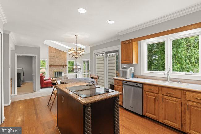 WOLFTRAP MEADOWS - Residential