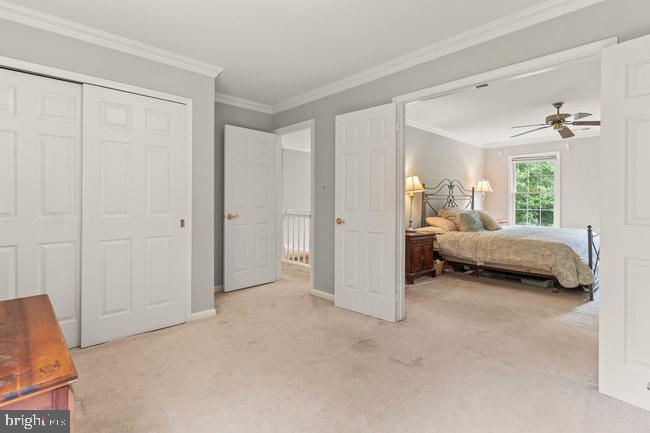 WOLFTRAP MEADOWS - Residential