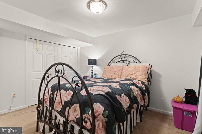 WOLFTRAP MEADOWS - Residential