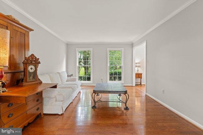 WOLFTRAP MEADOWS - Residential