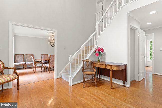 WOLFTRAP MEADOWS - Residential