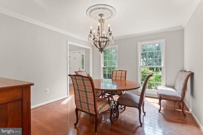 WOLFTRAP MEADOWS - Residential