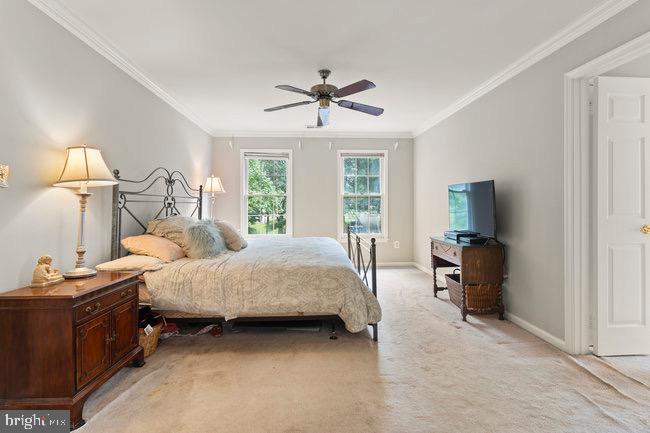 WOLFTRAP MEADOWS - Residential