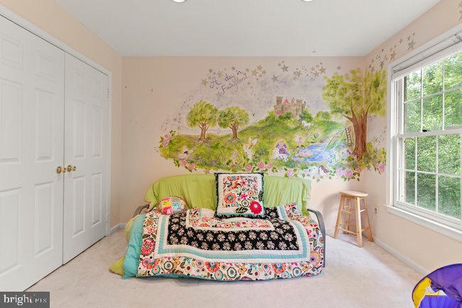 WOLFTRAP MEADOWS - Residential