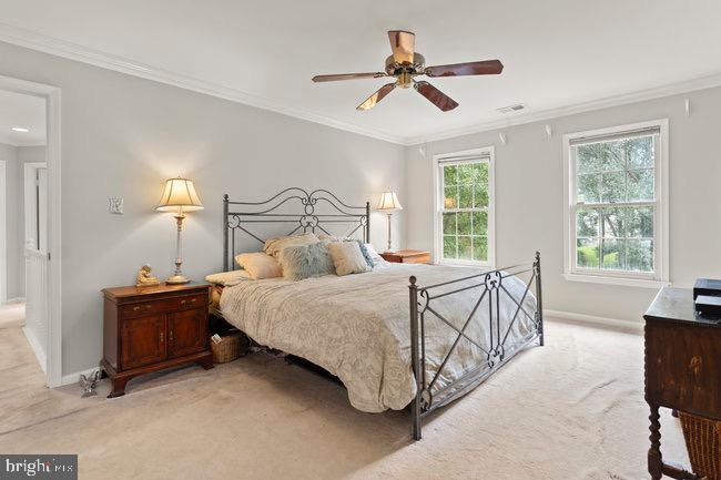 WOLFTRAP MEADOWS - Residential