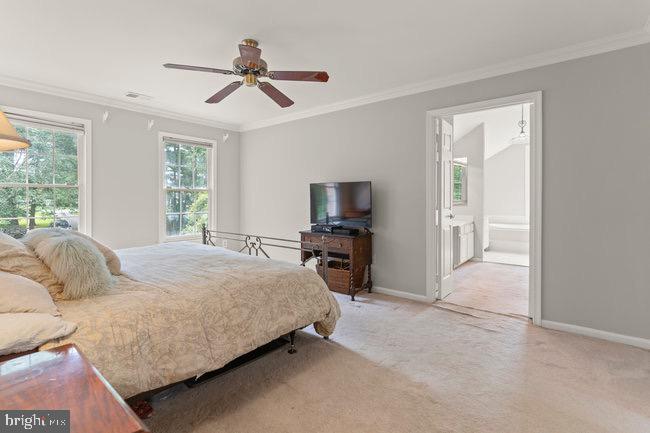 WOLFTRAP MEADOWS - Residential