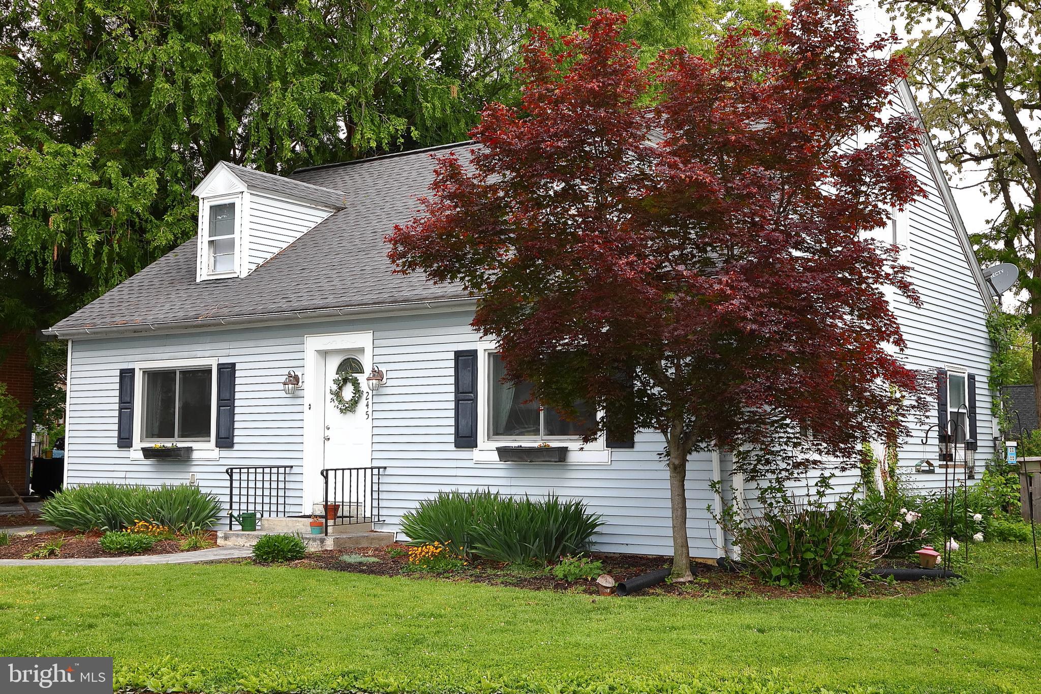 245 ELIZABETH STREET