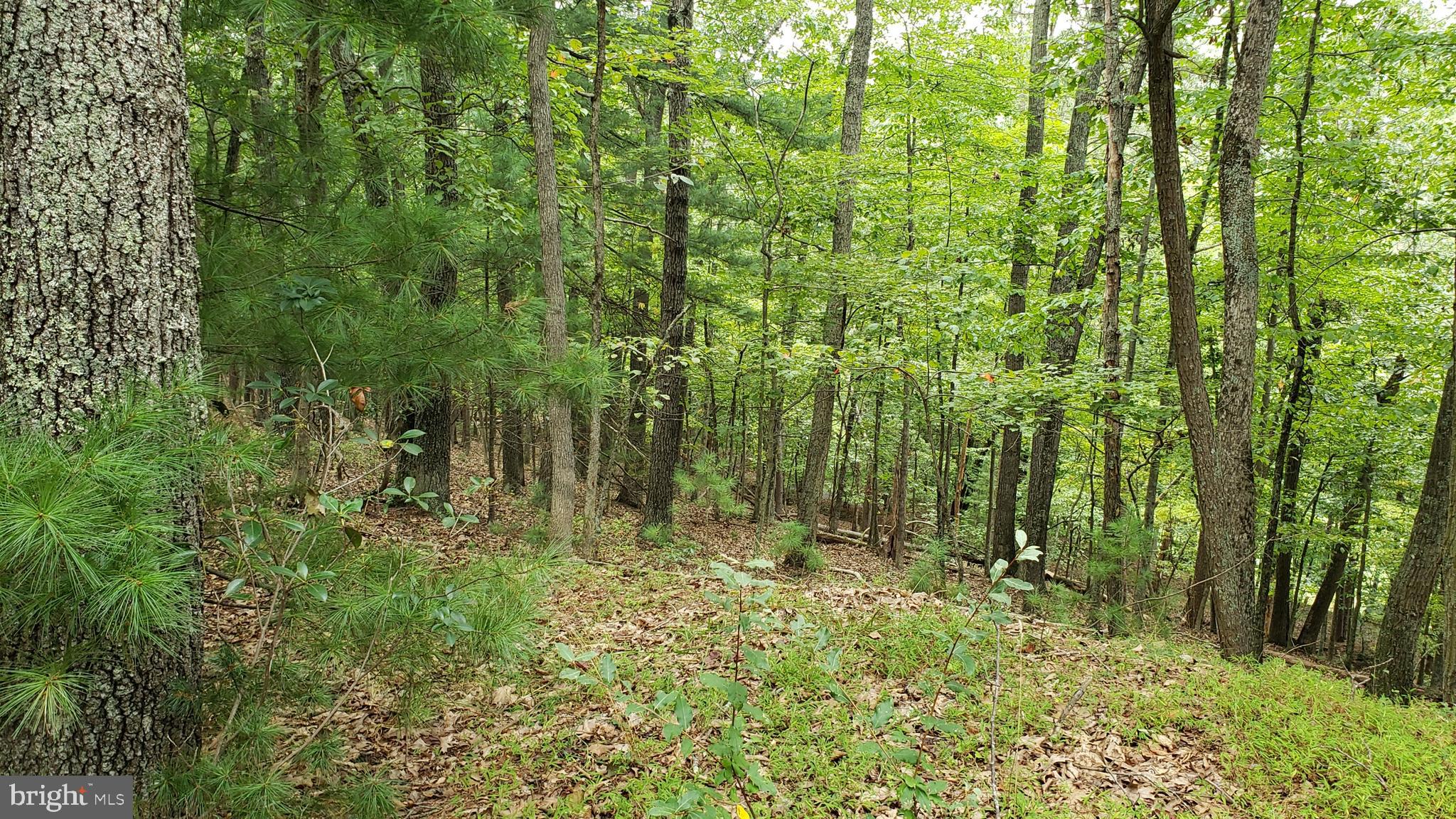 RITTERS HIDDEN VALLEY - Residential