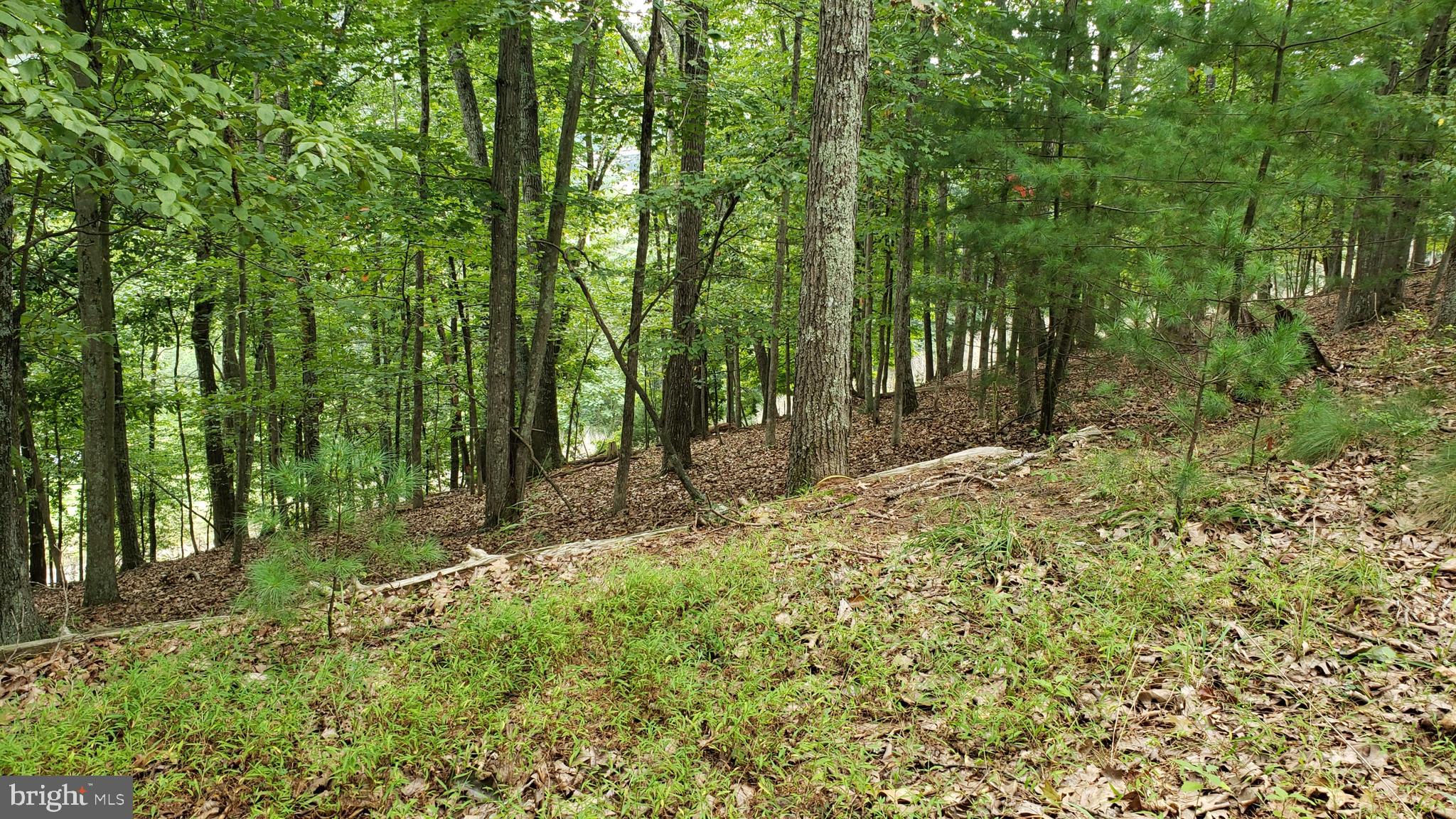 RITTERS HIDDEN VALLEY - Residential