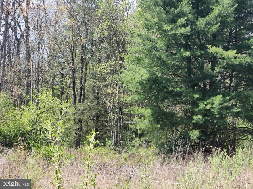 11+ WOODED ACRES FOR YOUR GETAWAY! Beautiful wooded lot in Clean & Green for low taxes. Unimproved and unspoiled, this could be your off-grid paradise! Lot was recently surveyed but lot boundaries may not be visible. Buyer to verify. Lot has not passed a perc test for a conventional septic system. Owner is offering the lot as dedicated for hunting, recreation and silvaculture (timber use). Buyer is responsible to determine other uses and any requirements if desiring to build. This is not in a development and there are no known covenants or deed restrictions. Township regulations may apply. Subdivision completed on 35 acres into 3 lots. Legal description, tax assessment value and total taxes will be determined upon settlement. Lot 5, 11.75A is mostly in King Township.
3 miles to King Valley Golf Course. 12 miles to Blue Knob Ski Resort. 17 miles to Bedford. 25 miles to Altoona. Want additional space? 2 adjoining lots are available.