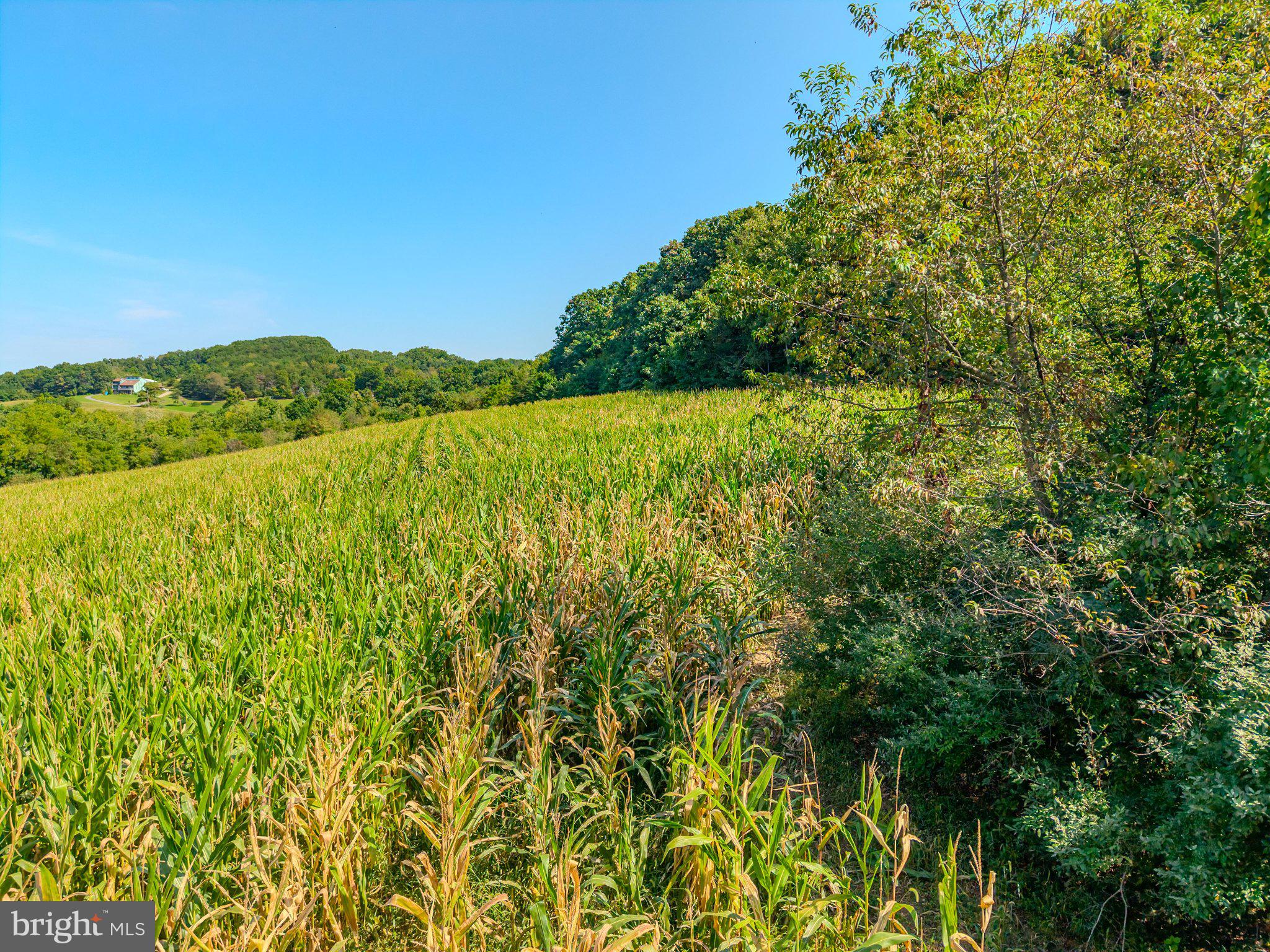 00 BERGEY ROAD PARCEL 2