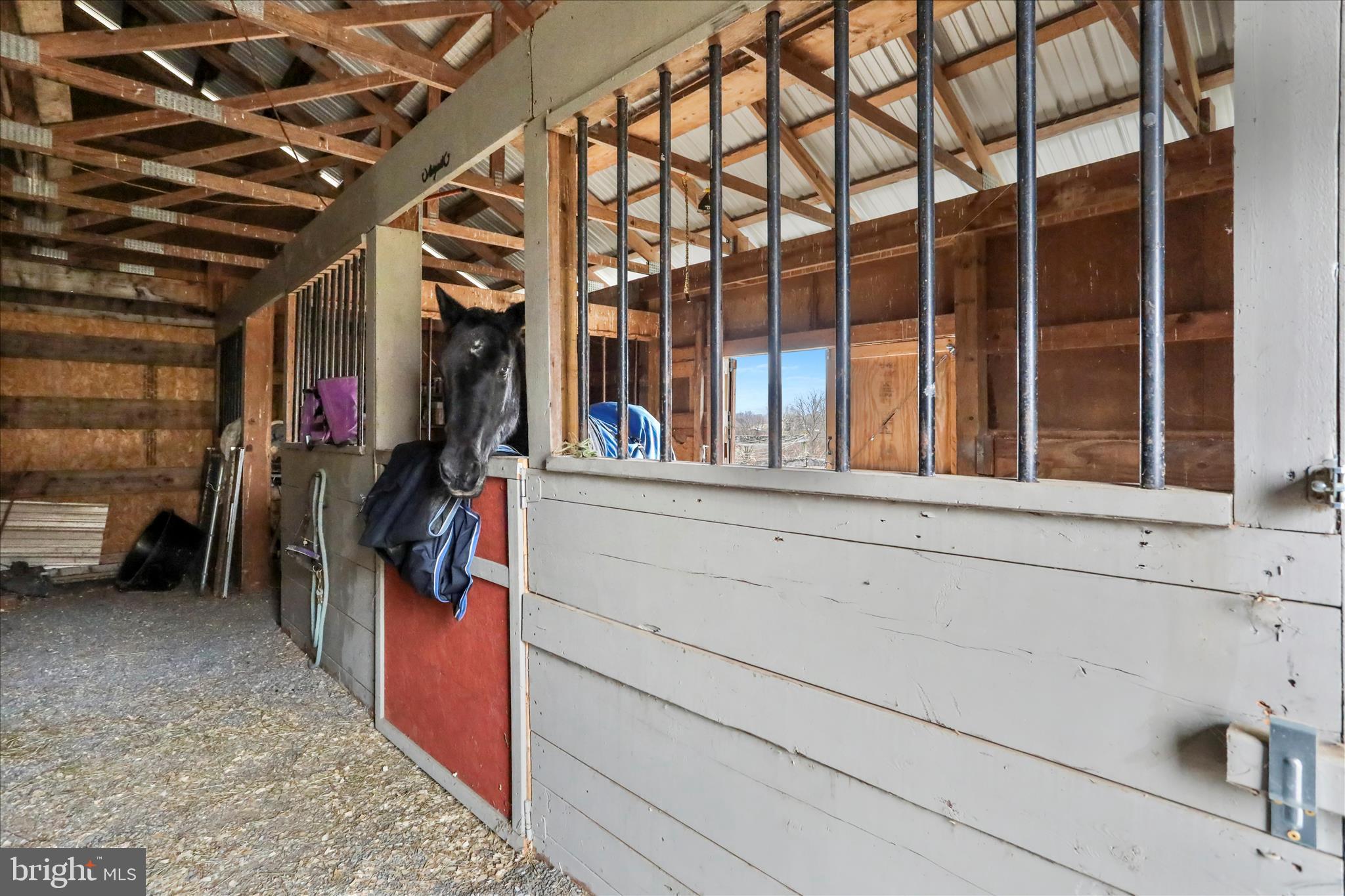 DONAHOE - Residential